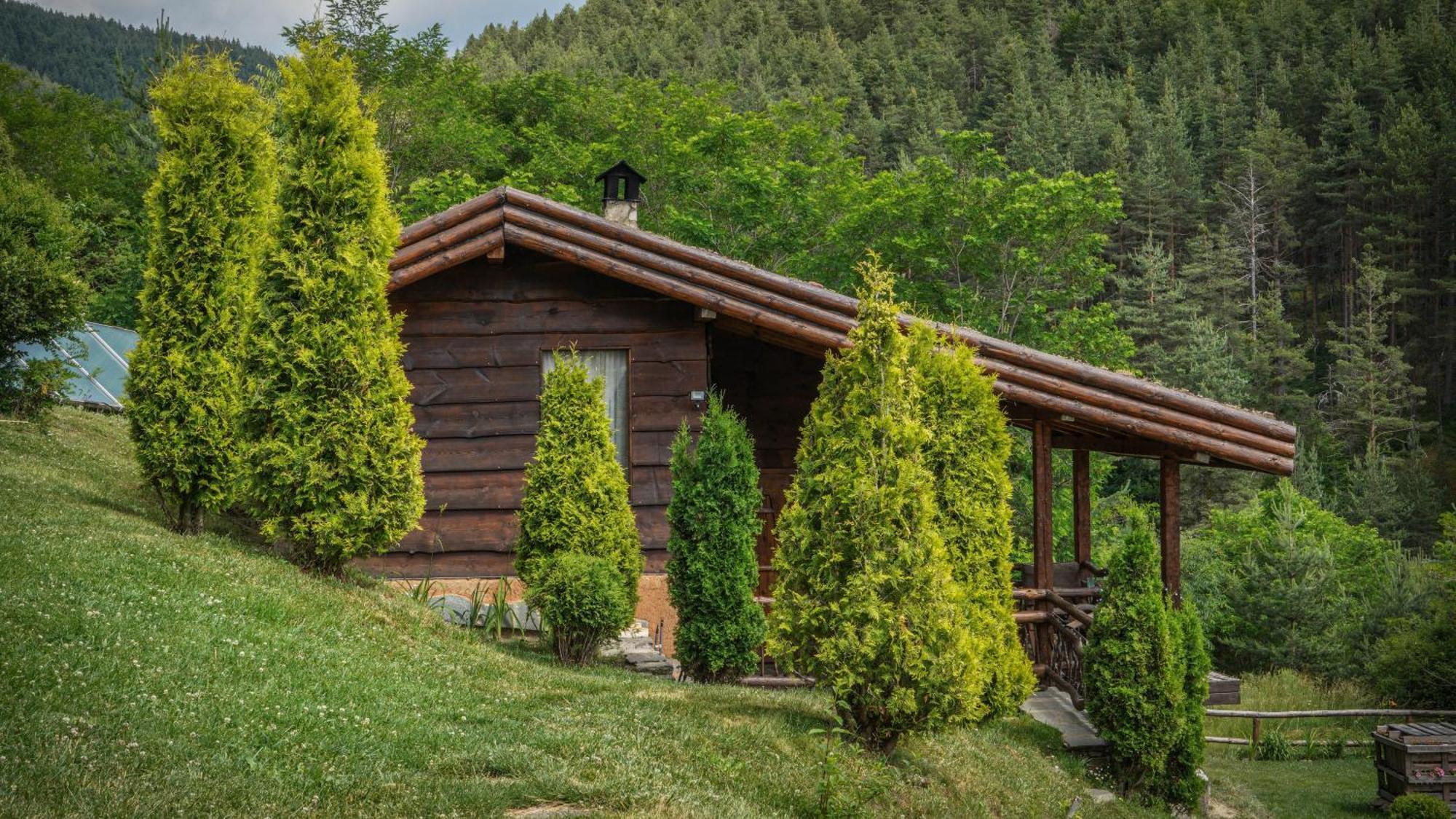 Панорама Хаус Лещен И Еко Къщи Дървена И Землянка 外观 照片