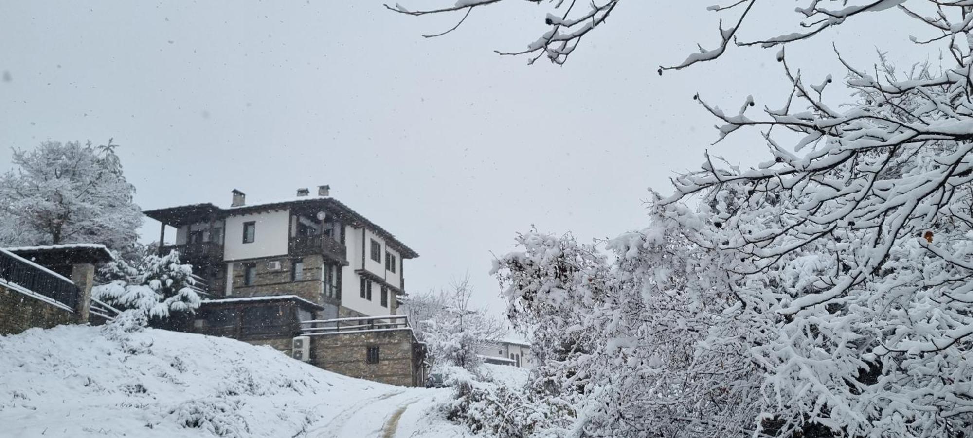 Панорама Хаус Лещен И Еко Къщи Дървена И Землянка 外观 照片